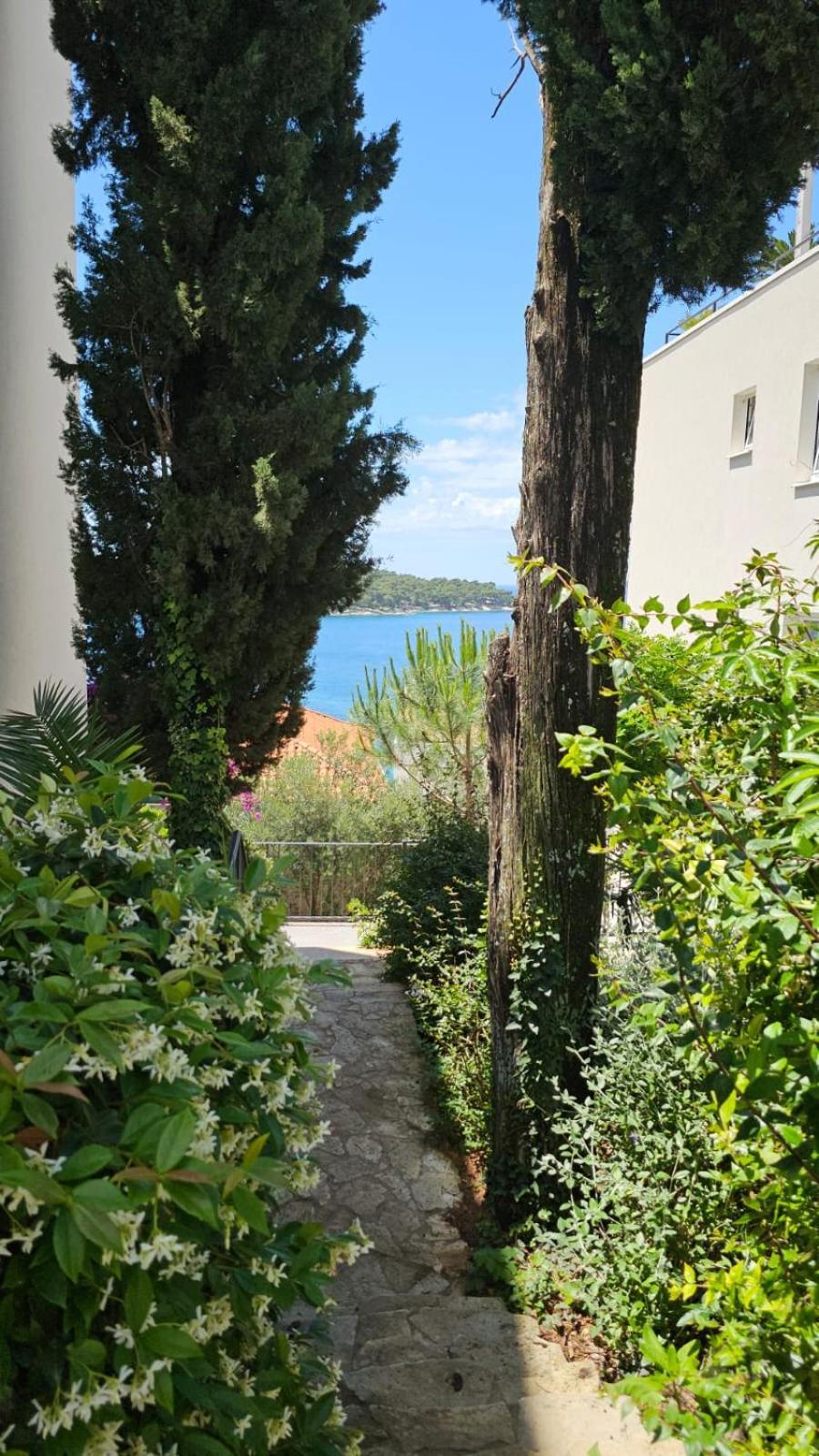 Residence Alpha Apartments Cavtat Buitenkant foto