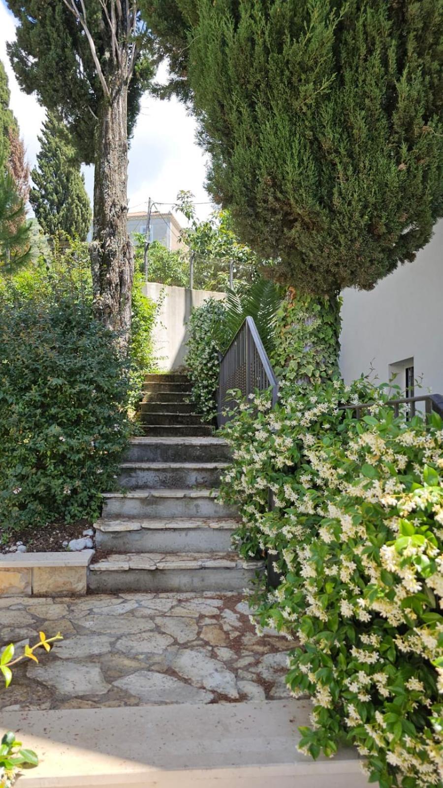 Residence Alpha Apartments Cavtat Buitenkant foto