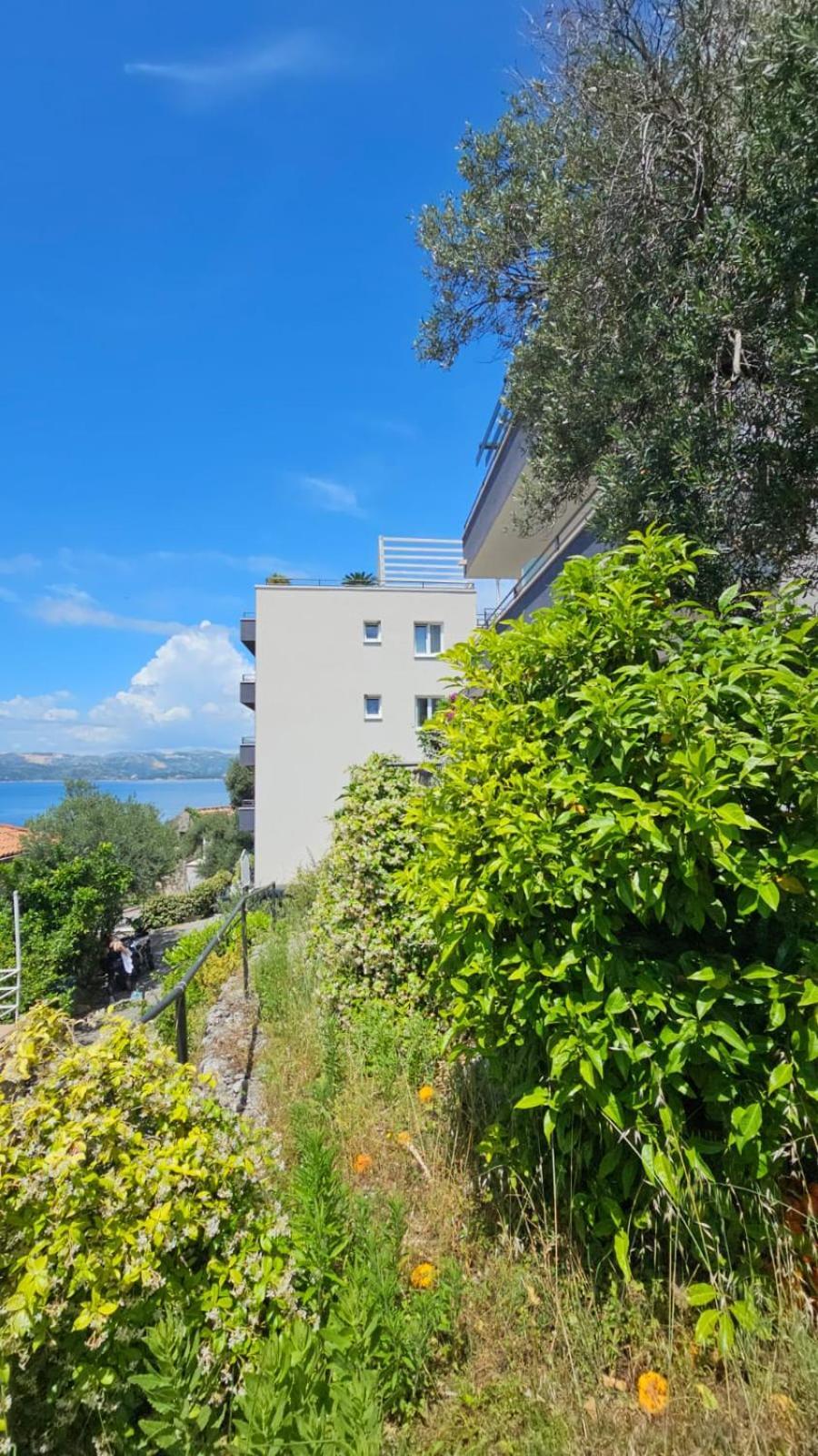 Residence Alpha Apartments Cavtat Buitenkant foto